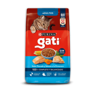 gati gato adulto