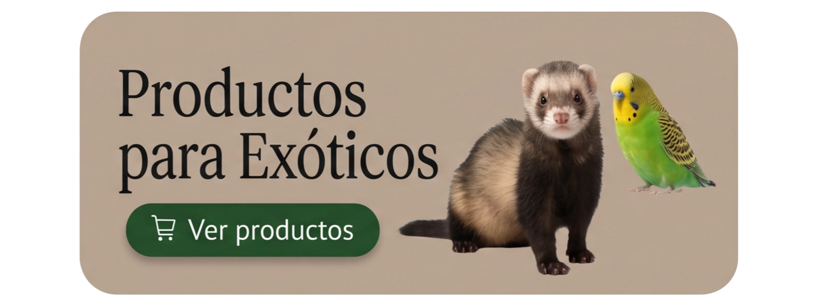 para exoticos