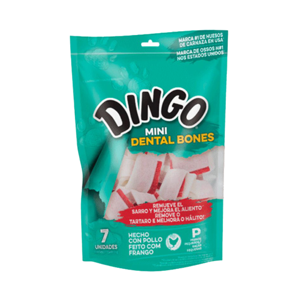 dingo dingo