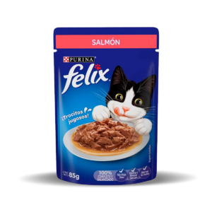 felix adulto salmon