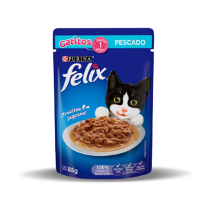 felix gatitos pescado