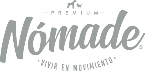 Nómade