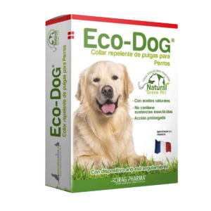 eco dog