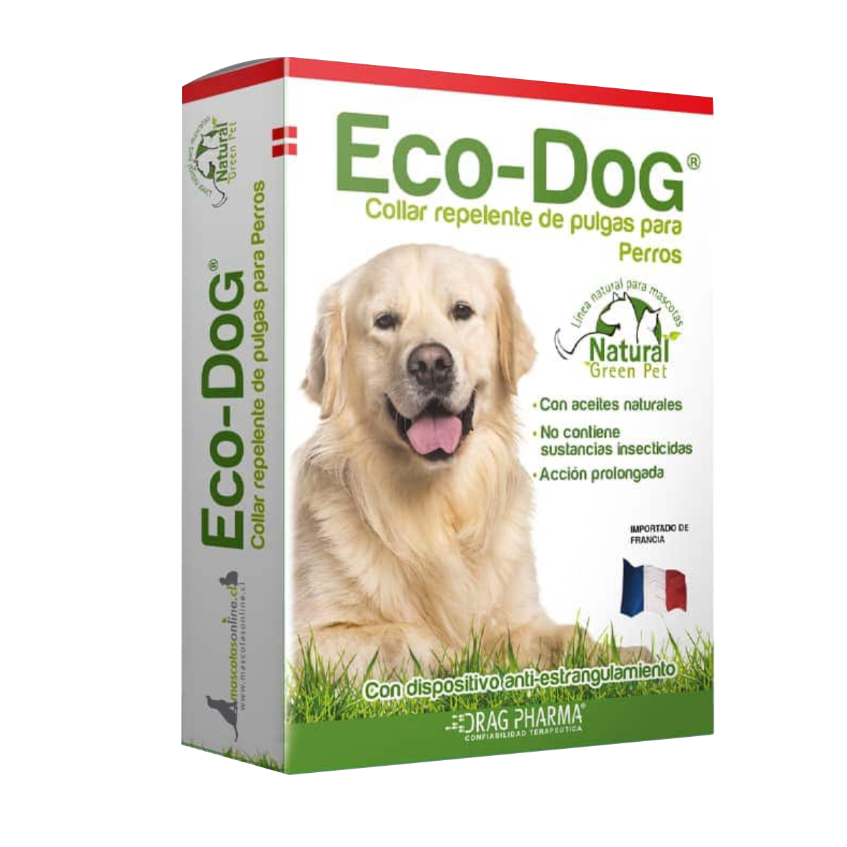 eco dog eco dog